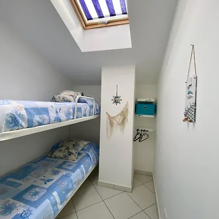 Casa Blue Dream