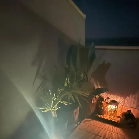 Casa Blue Dream